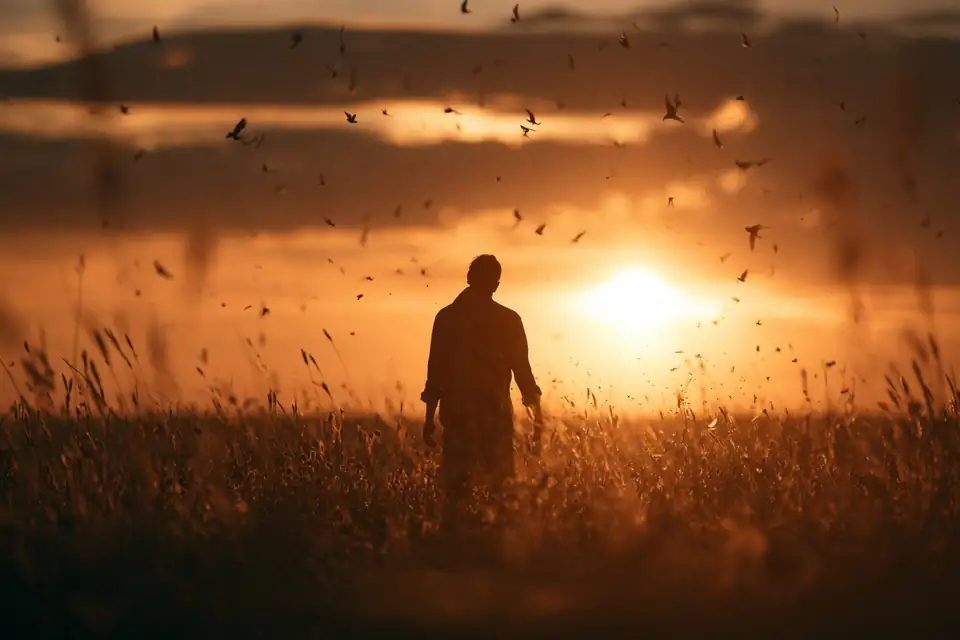 un semeur dans un champ au lever du soleil, des oiseaux dans le ciel.