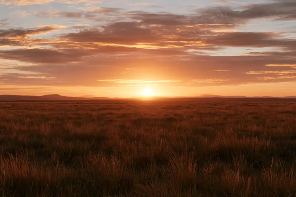 une lande écossaise dans la nuit, avec une première lueur d’aube à l’horizon.