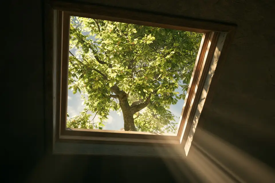 un rayon de soleil entrant par une lucarne dans un grenier, un marronnier dehors.